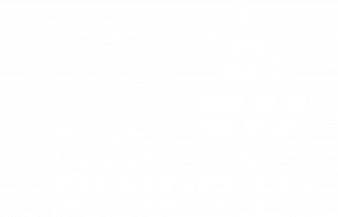Ron-Binroth-Logo-2022-negativ-rgb-ohgnezusatz